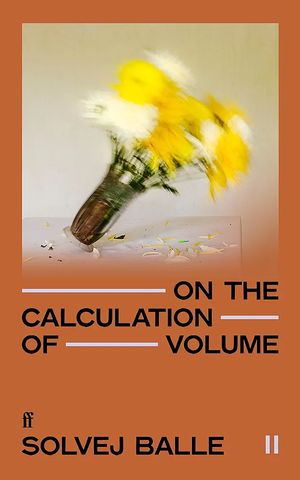 Cover of On the Calculation of Volume II